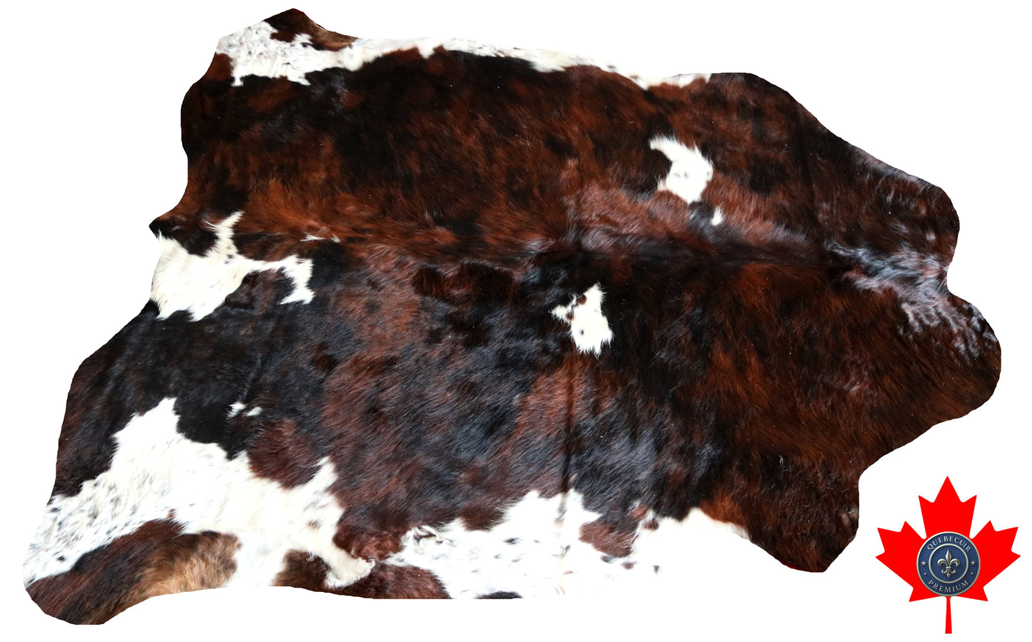 100143-  Tricolor Cowhide Rug - Quebecuir Premium Collection