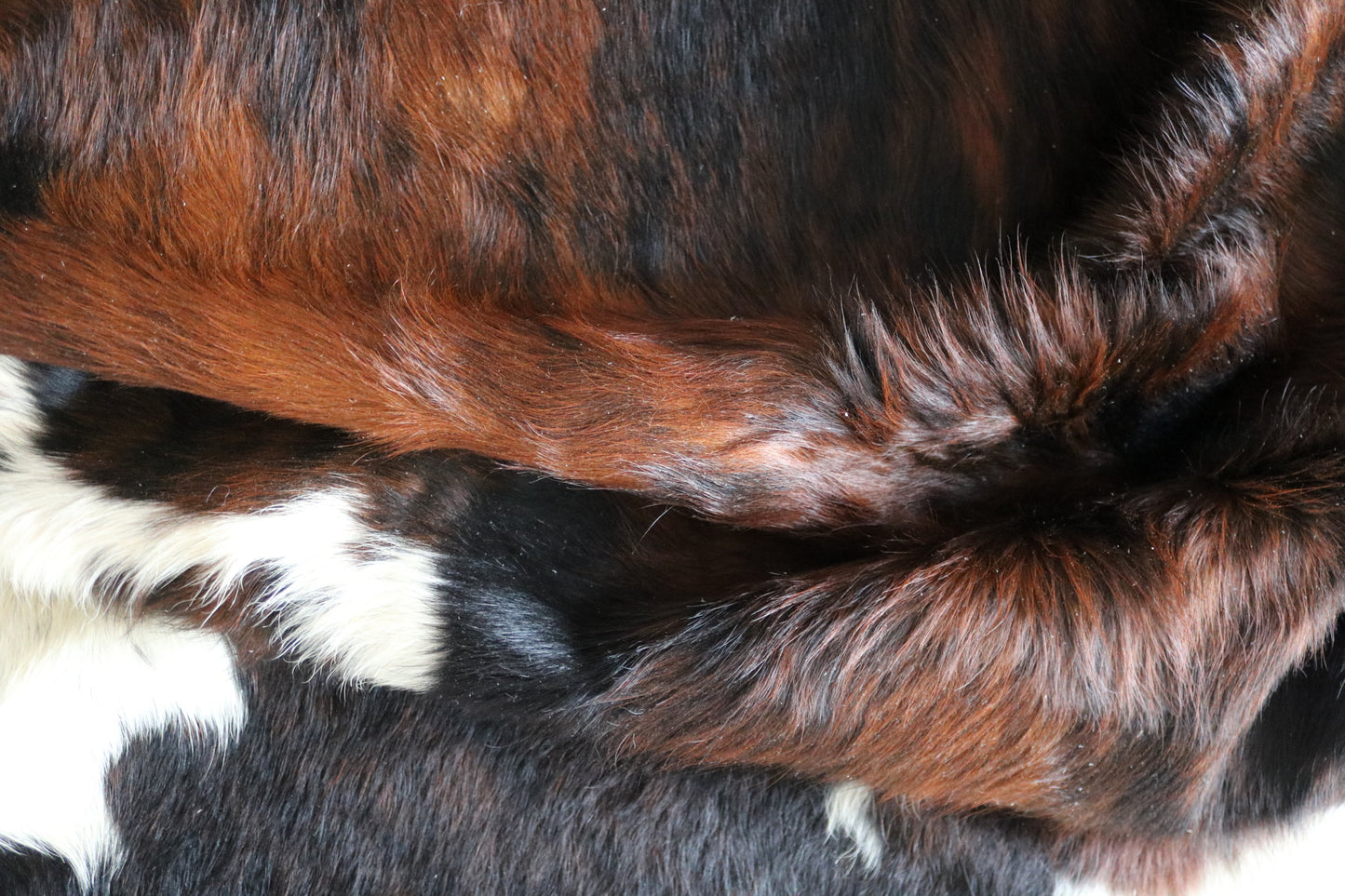100143-  Tricolor Cowhide Rug - Quebecuir Premium Collection