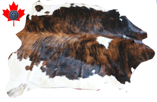 100146-  Tricolor Cowhide Rug - Quebecuir Premium Collection
