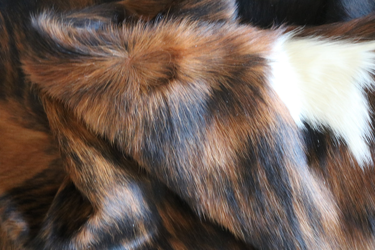 100146-  Tricolor Cowhide Rug - Quebecuir Premium Collection