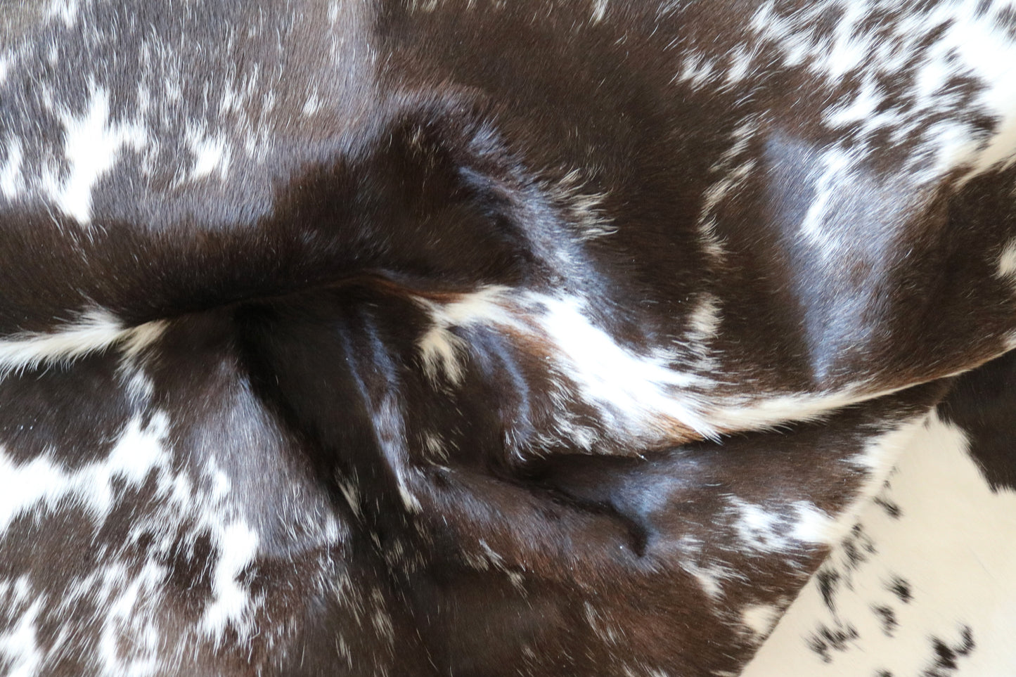 100147-  Tricolor Cowhide Rug - Quebecuir Premium Collection