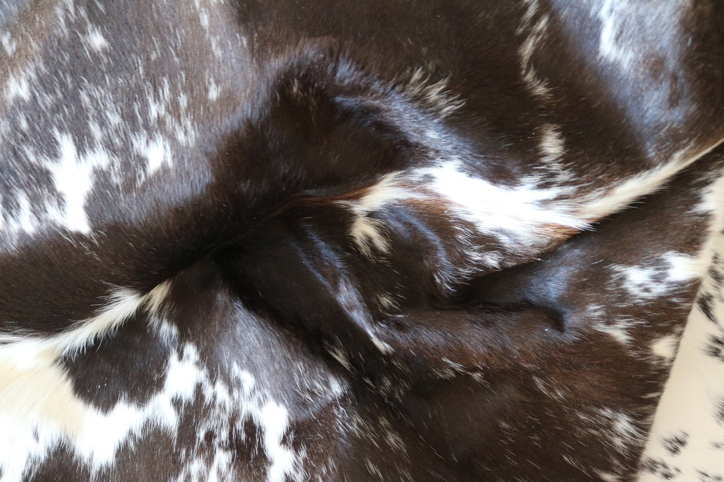 100147-  Tricolor Cowhide Rug - Quebecuir Premium Collection