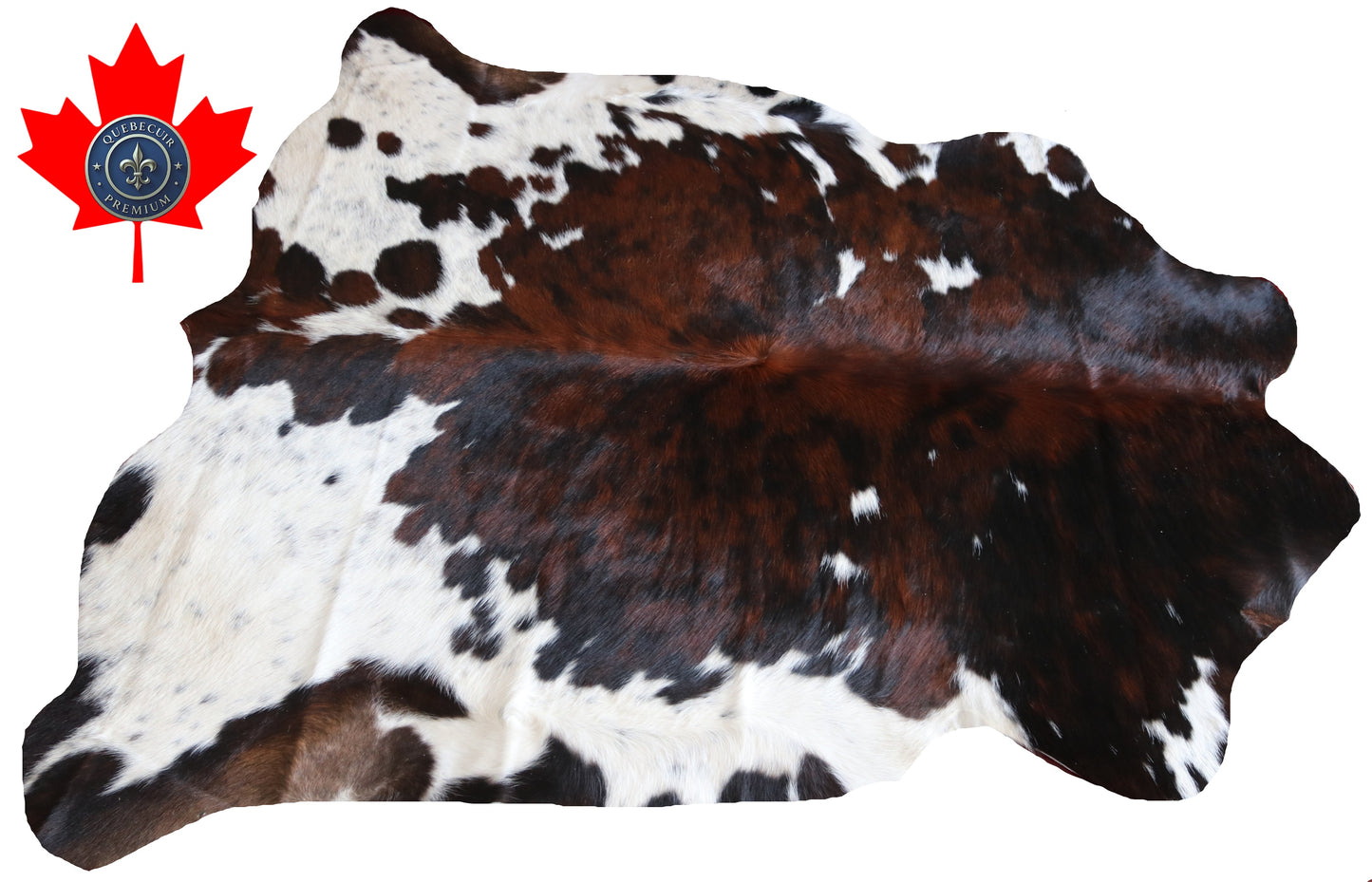 100151-  Tricolor Cowhide Rug - Quebecuir Premium Collection
