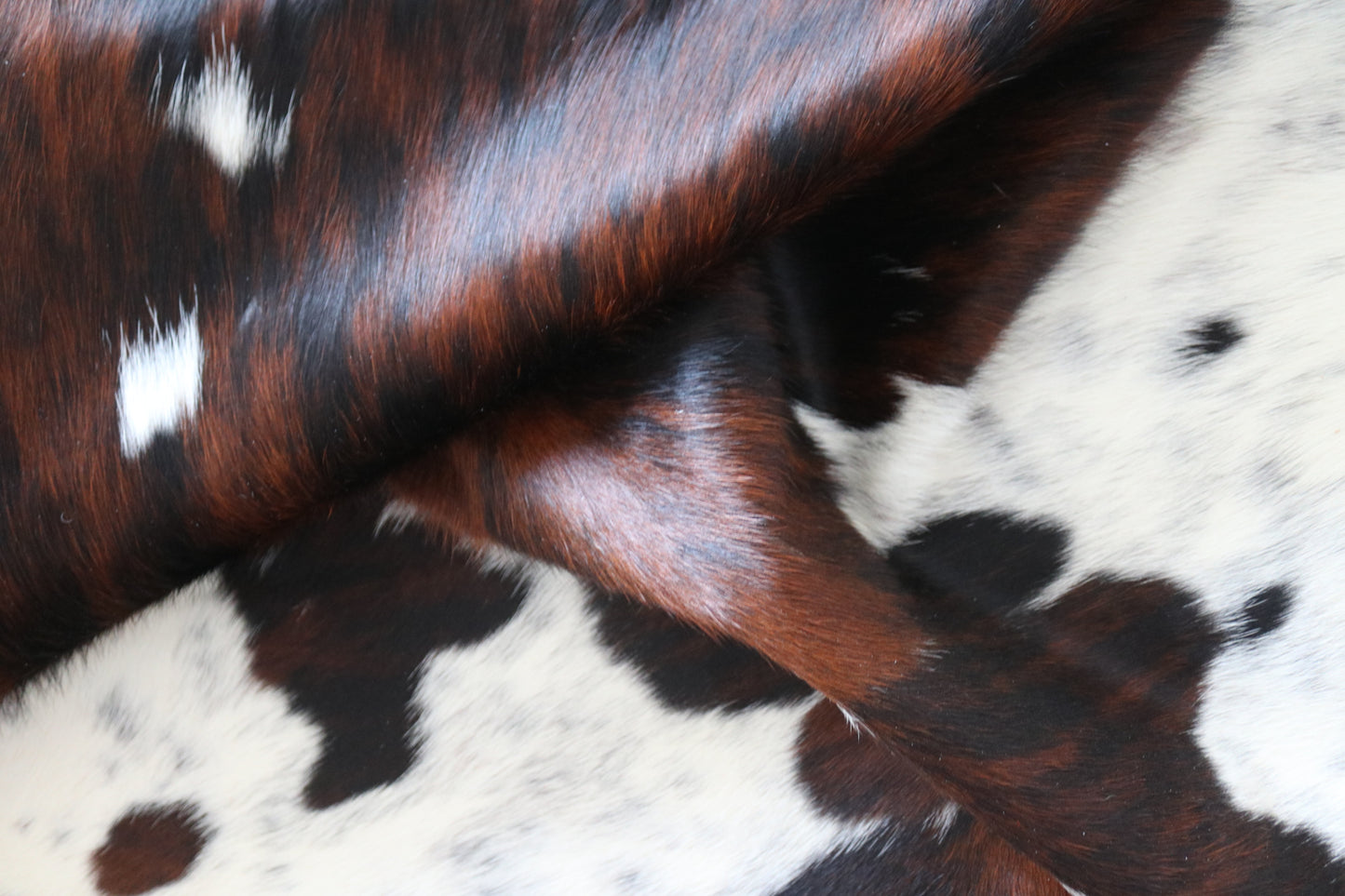 100151-  Tricolor Cowhide Rug - Quebecuir Premium Collection