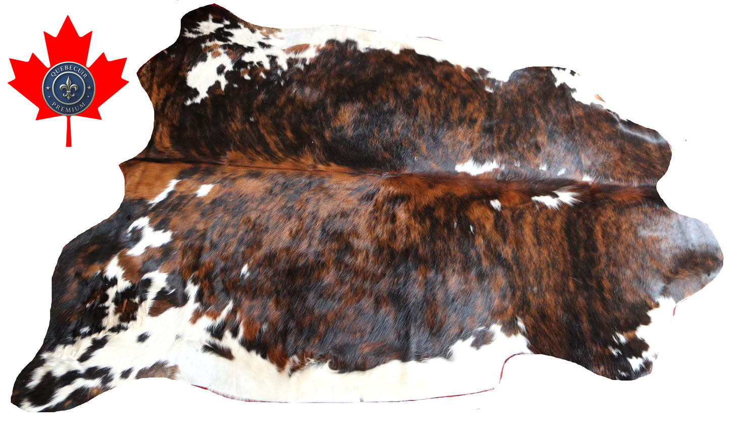 100152-  Tricolor Cowhide Rug - Quebecuir Premium Collection