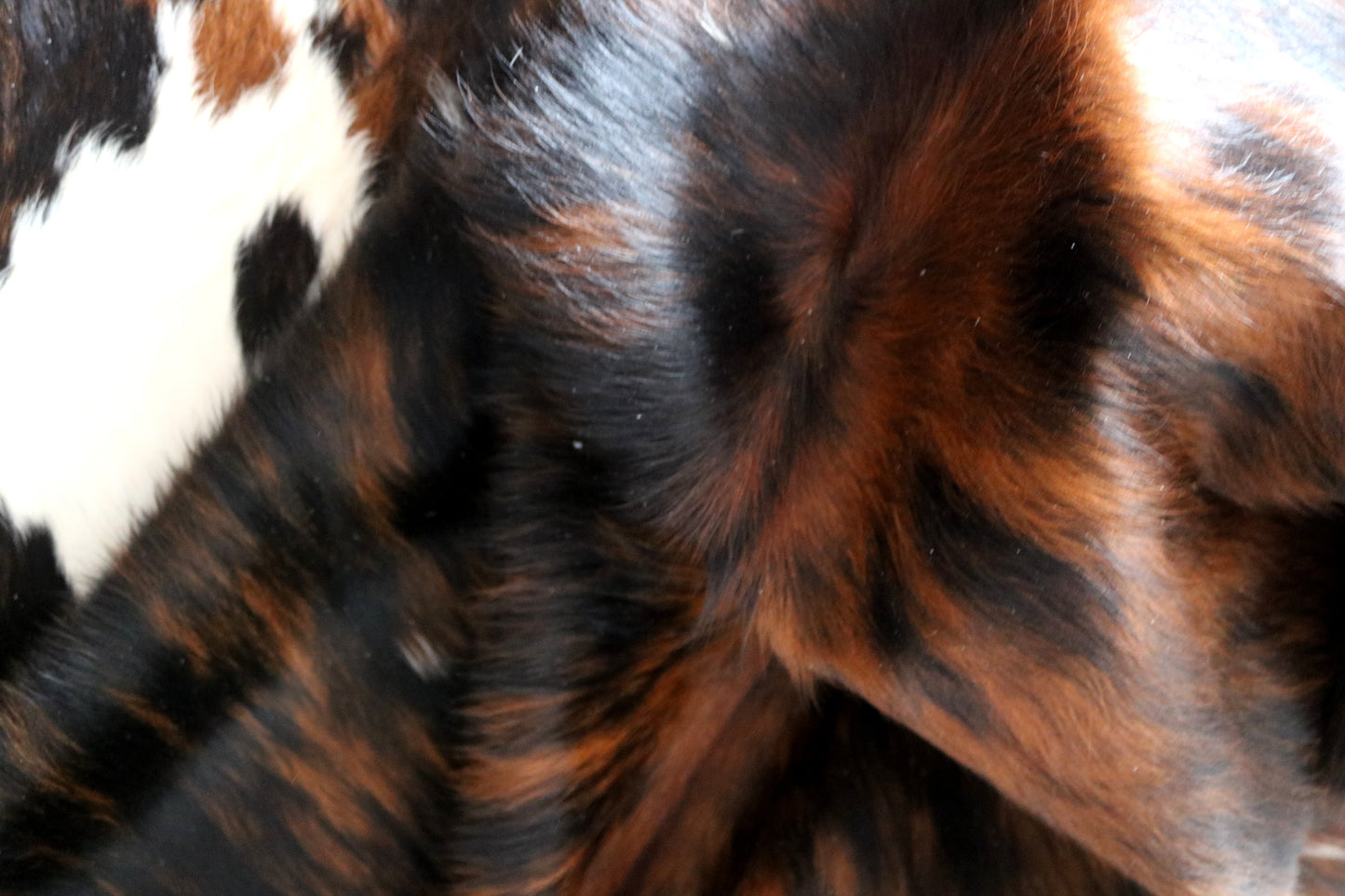 100152-  Tricolor Cowhide Rug - Quebecuir Premium Collection