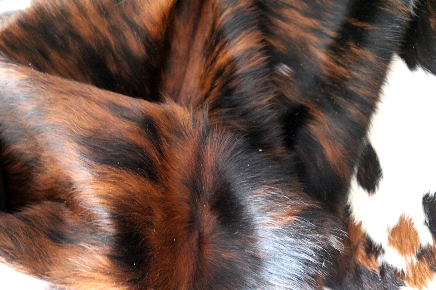 100152-  Tricolor Cowhide Rug - Quebecuir Premium Collection