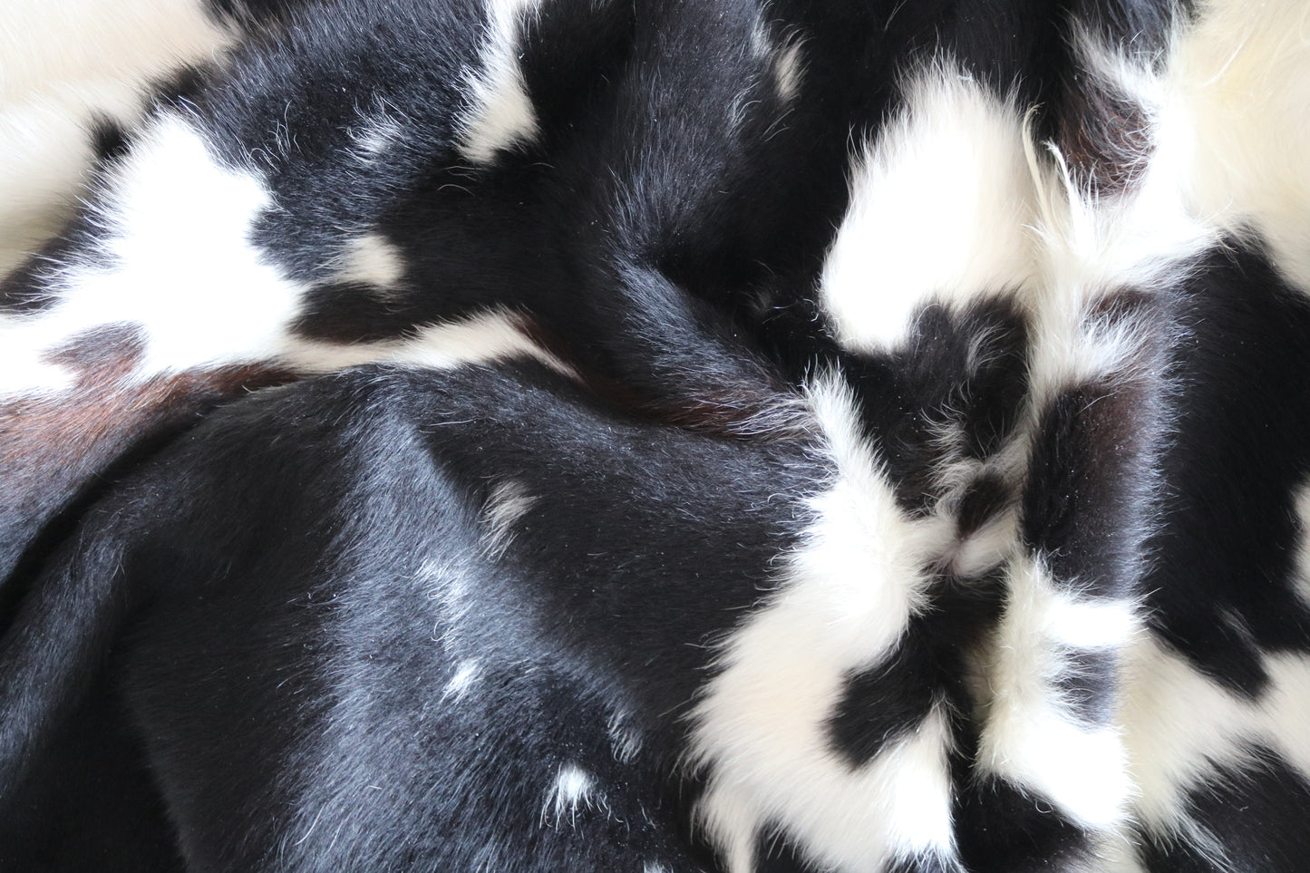 100153-  Tricolor Cowhide Rug - Quebecuir Premium Collection