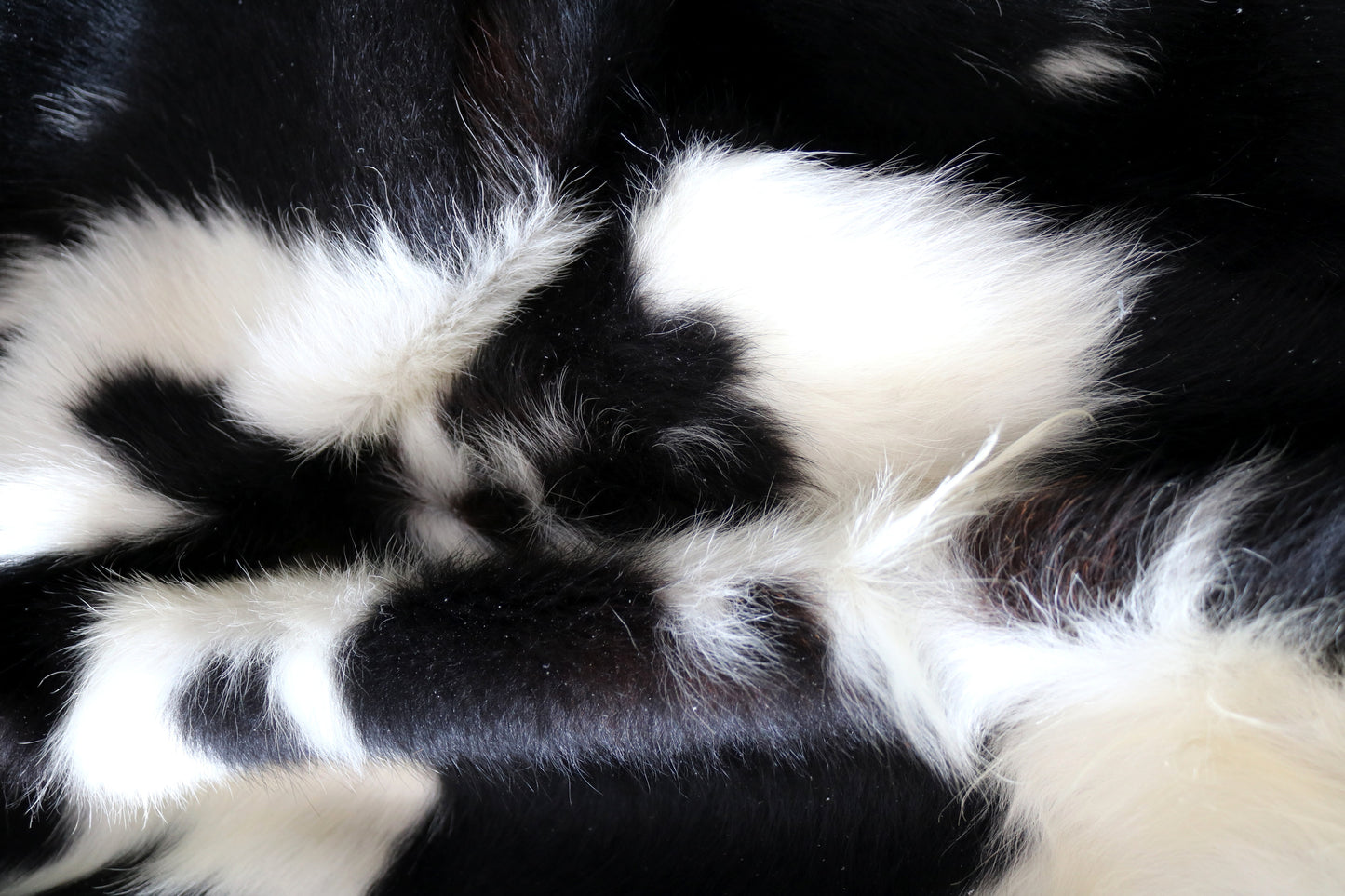 100153-  Tricolor Cowhide Rug - Quebecuir Premium Collection