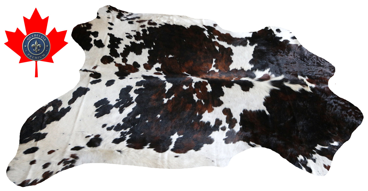 100154- SUPER BIG  SIZE XXXL Tricolor Cowhide Rug - Quebecuir Premium Collection