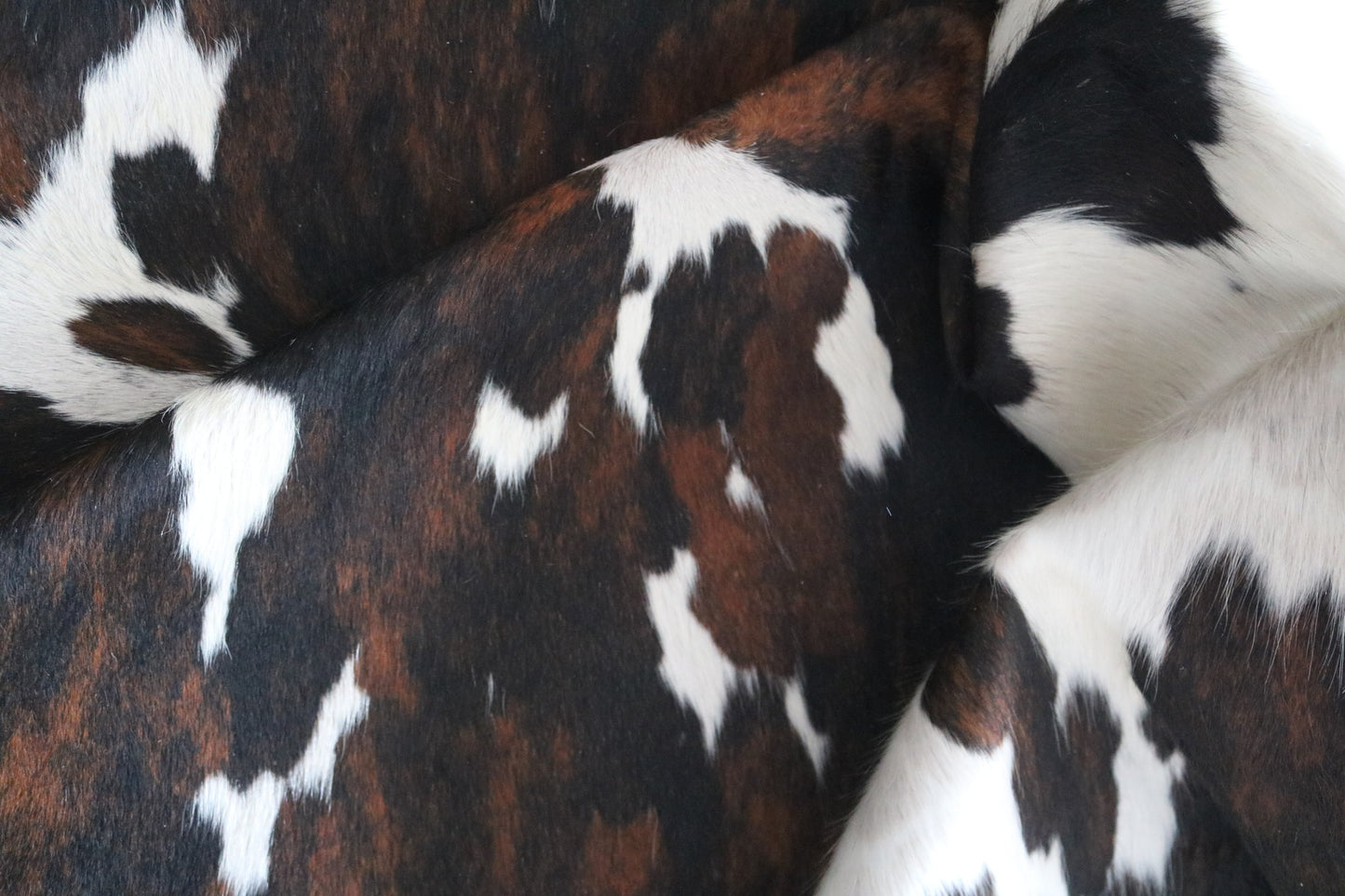 100154- SUPER BIG  SIZE XXXL Tricolor Cowhide Rug - Quebecuir Premium Collection