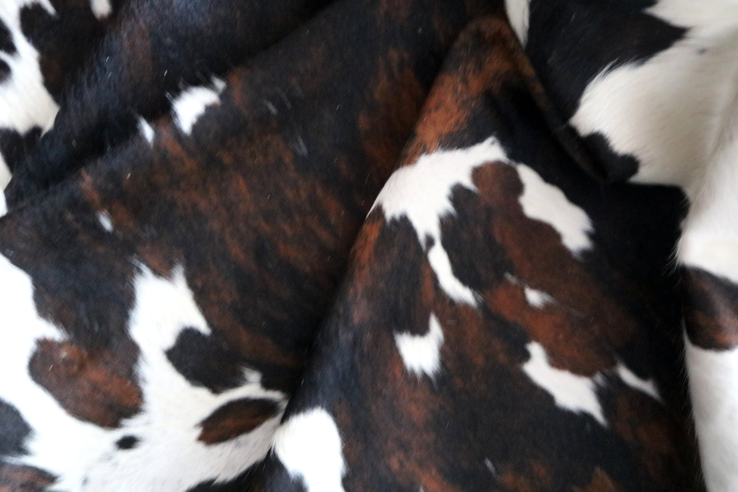 100154- SUPER BIG  SIZE XXXL Tricolor Cowhide Rug - Quebecuir Premium Collection
