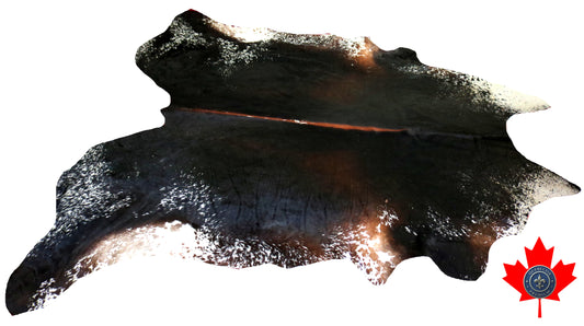 98716- Cowhide Rug Tapis Peau de Vache  BIG  SIZE XL-  Collection Quebecuir Premium