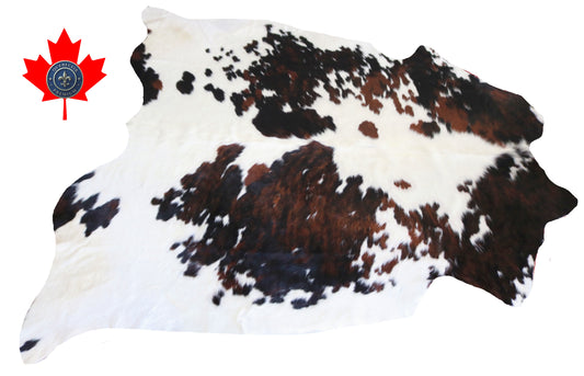 98721 - Cowhide Rug Tapis Peau de Vache  BIG  SIZE XXL-TRICOLOR   Collection Quebecuir Premium