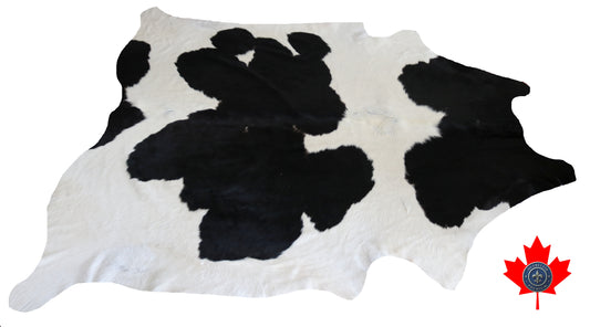 98723 - Cowhide Rug Tapis Peau de Vache  BIG  SIZE XL-   Collection Quebecuir Premium