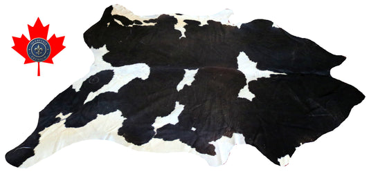 98725 - Cowhide Rug Tapis Peau de Vache  BIG  SIZE XL-   Collection Quebecuir Premium