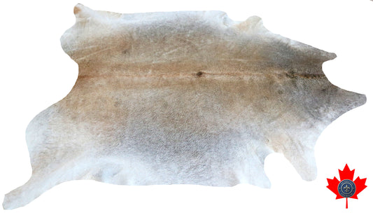 98727 - Cowhide Rug Tapis Peau de Vache  BIG  SIZE XL-   Collection Quebecuir Premium