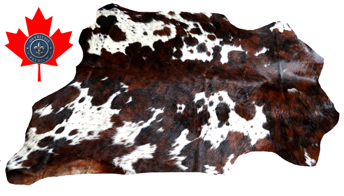 100158-  Tricolor Cowhide Rug - Quebecuir Premium Collection