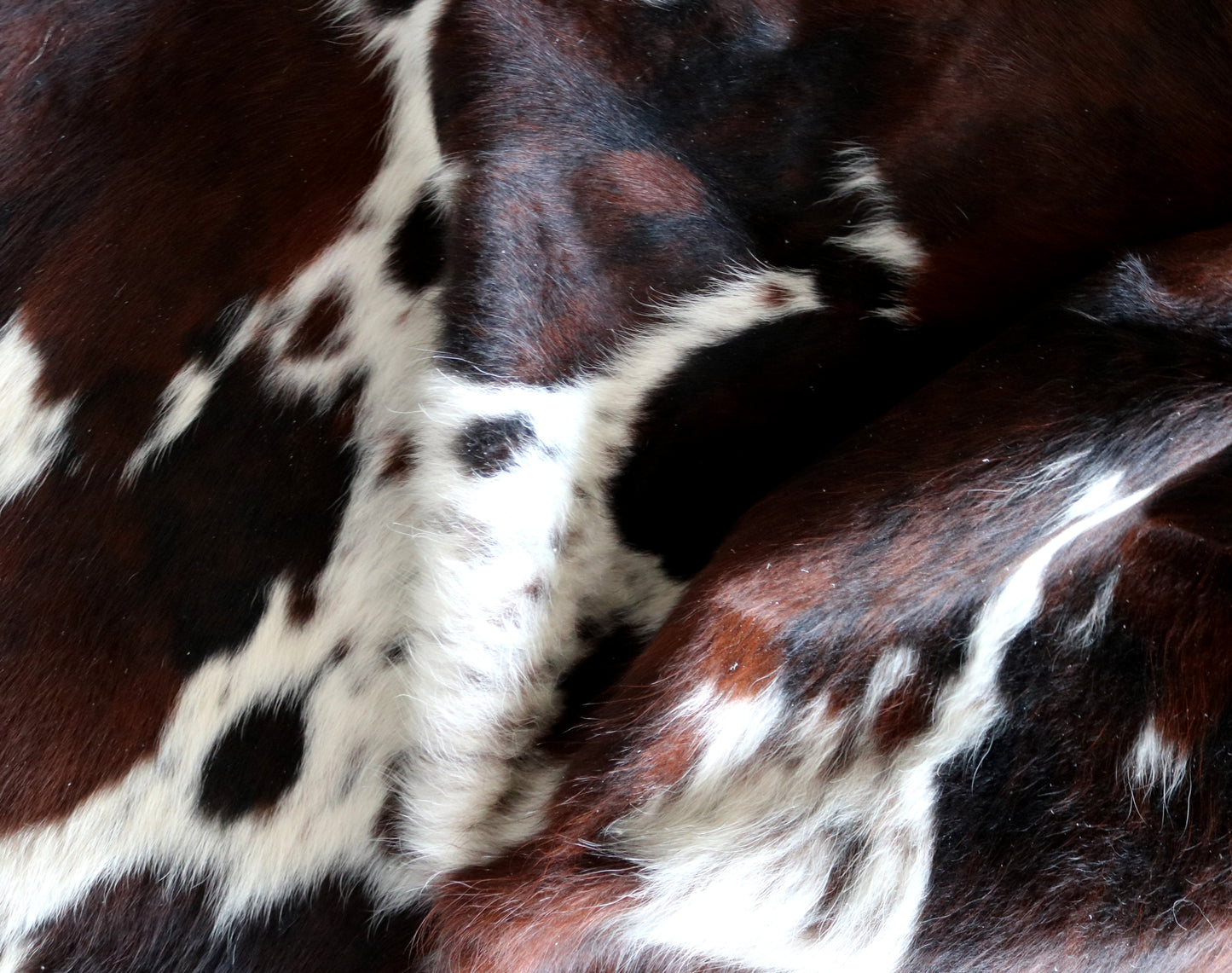100158-  Tricolor Cowhide Rug - Quebecuir Premium Collection