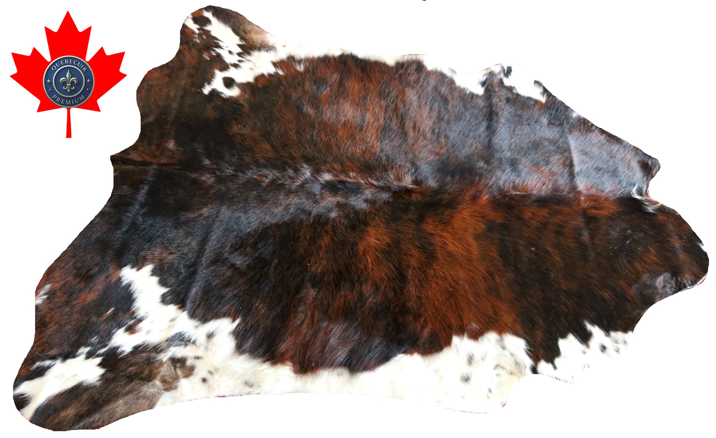 100159-  Tricolor Cowhide Rug - Quebecuir Premium Collection