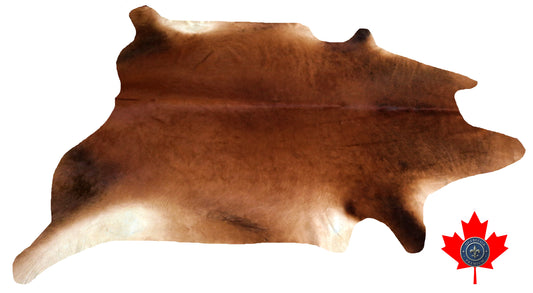 98733 - Cowhide Rug Tapis Peau de Vache  BIG  SIZE XL-   Collection Quebecuir Premium