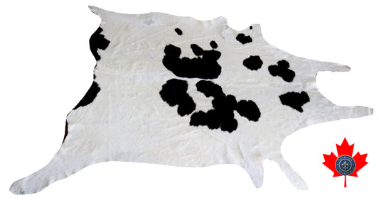 98734 - Cowhide Rug Tapis Peau de Vache  BIG  SIZE XL-   Collection Quebecuir Premium