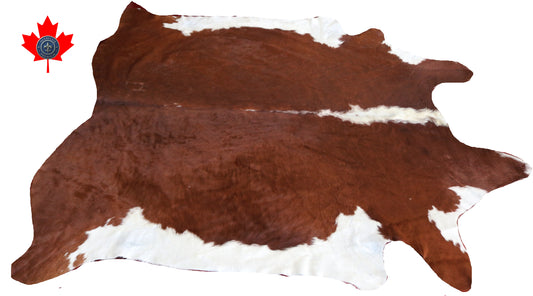 98735 - Cowhide Rug Tapis Peau de Vache  BIG  SIZE XL-   Collection Quebecuir Premium