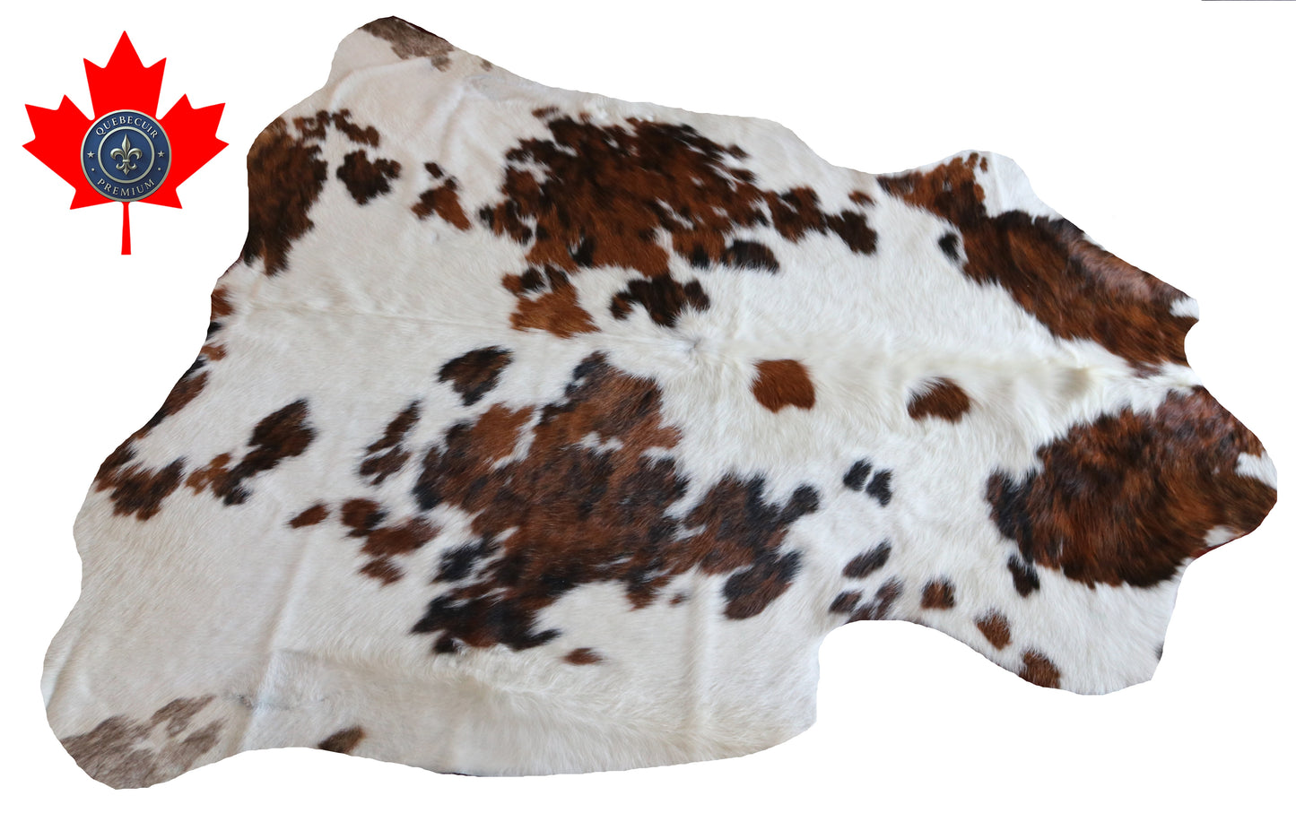 100160-  Tricolor Cowhide Rug - Quebecuir Premium Collection