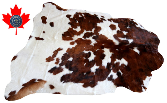 100161-  Tricolor Cowhide Rug - Quebecuir Premium Collection