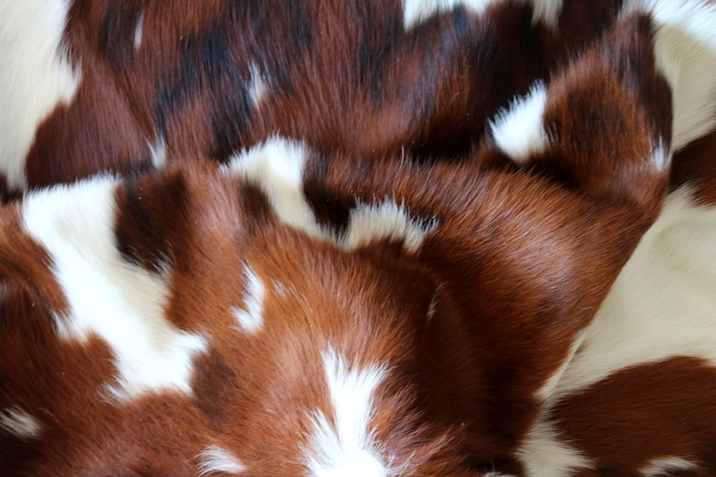 100161-  Tricolor Cowhide Rug - Quebecuir Premium Collection