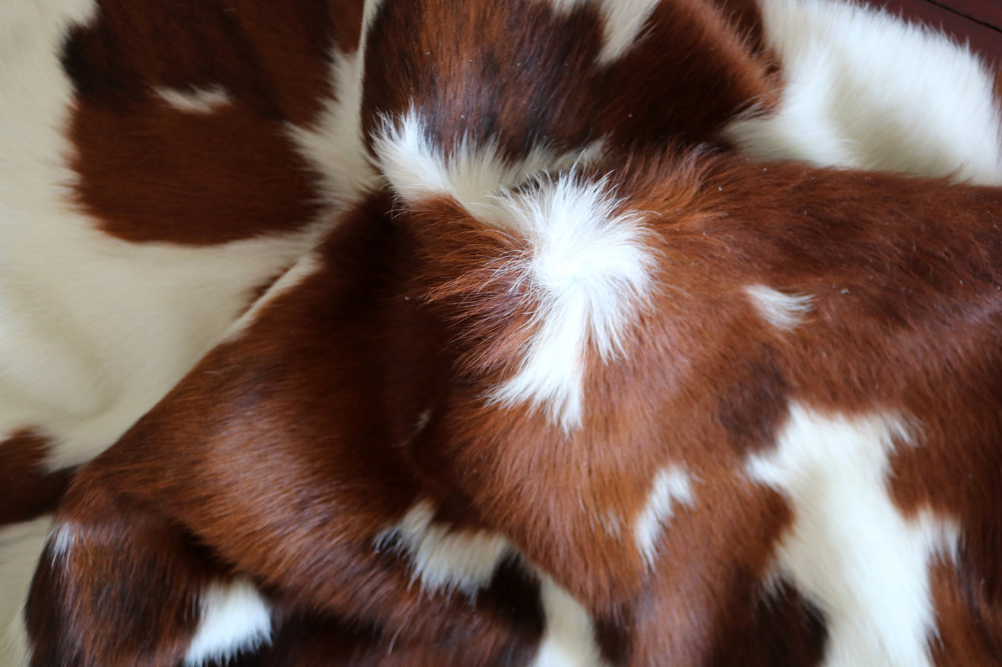 100161-  Tricolor Cowhide Rug - Quebecuir Premium Collection