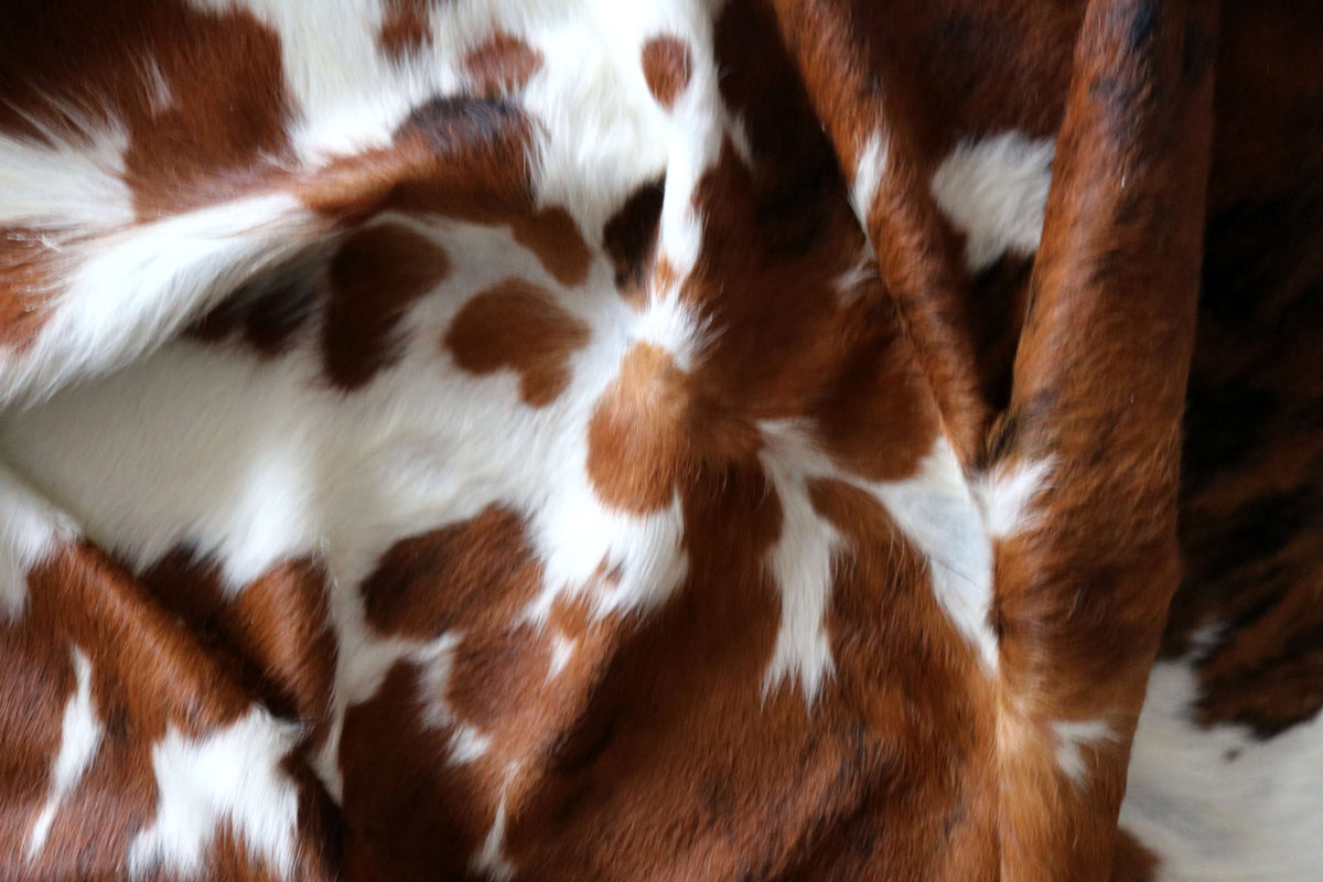200695-   SIZE XXL TRICOLOR   Cowhide Rug - Quebecuir Premium Collection