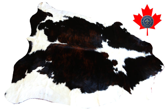 100162-  Tricolor Cowhide Rug - Quebecuir Premium Collection