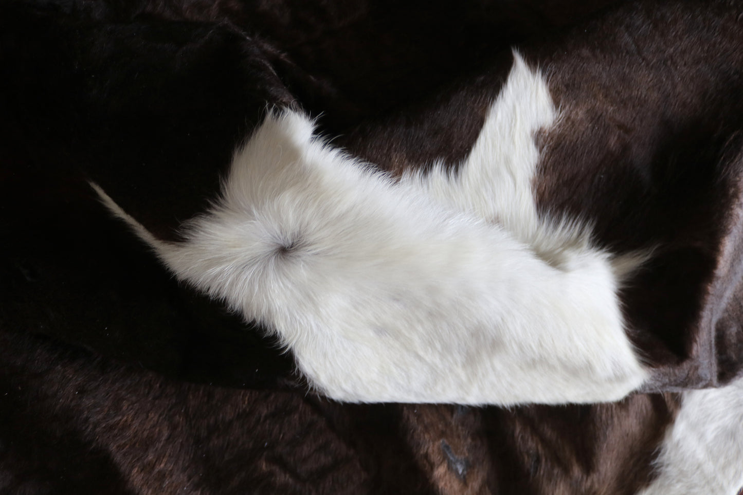 100163- SUPER BIG  SIZE XXXL Tricolor Cowhide Rug - Quebecuir Premium Collection
