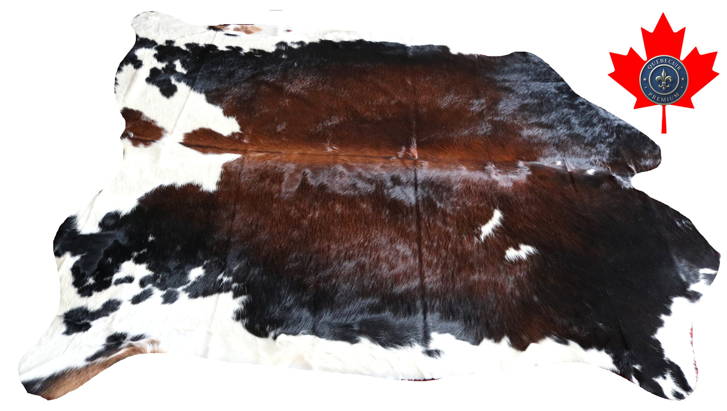 100166- SUPER BIG  SIZE XXXL Tricolor Cowhide Rug - Quebecuir Premium Collection