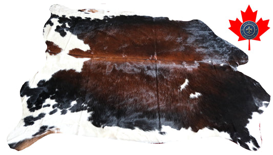 100166- SUPER BIG  SIZE XXXL Tricolor Cowhide Rug - Quebecuir Premium Collection