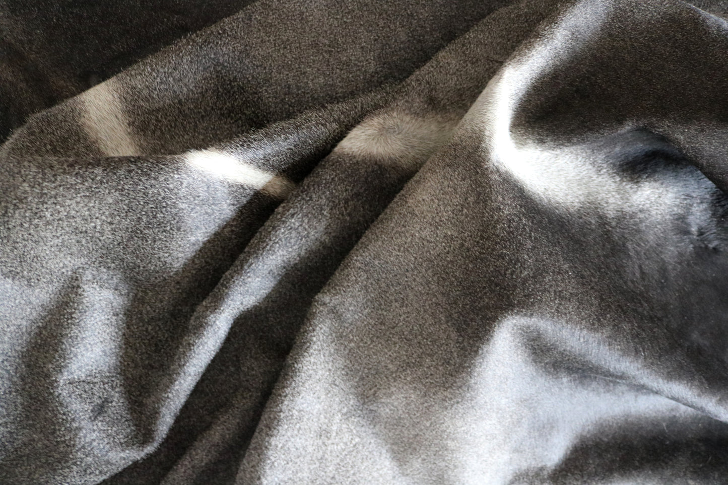 100167- SUPER BIG  SIZE XXXL GREY & BLACK Cowhide Rug - Quebecuir Premium Collection