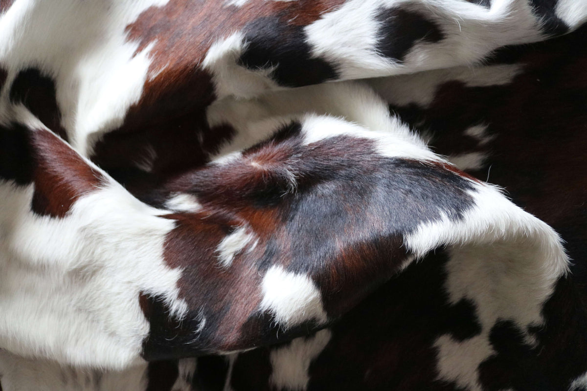 200697-   SIZE XXL TRICOLOR   Cowhide Rug - Quebecuir Premium Collection