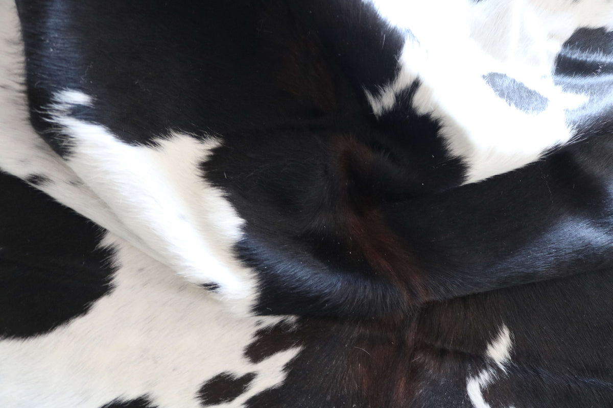 100384- tapis peau de vache  TRICOLOR      Cowhide Rug - Quebecuir Premium Collection