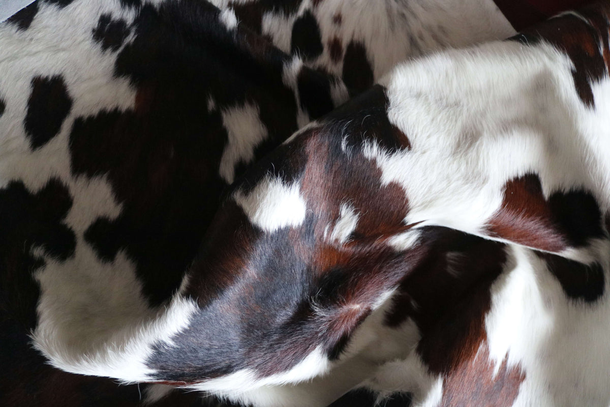 200697-   SIZE XXL TRICOLOR   Cowhide Rug - Quebecuir Premium Collection