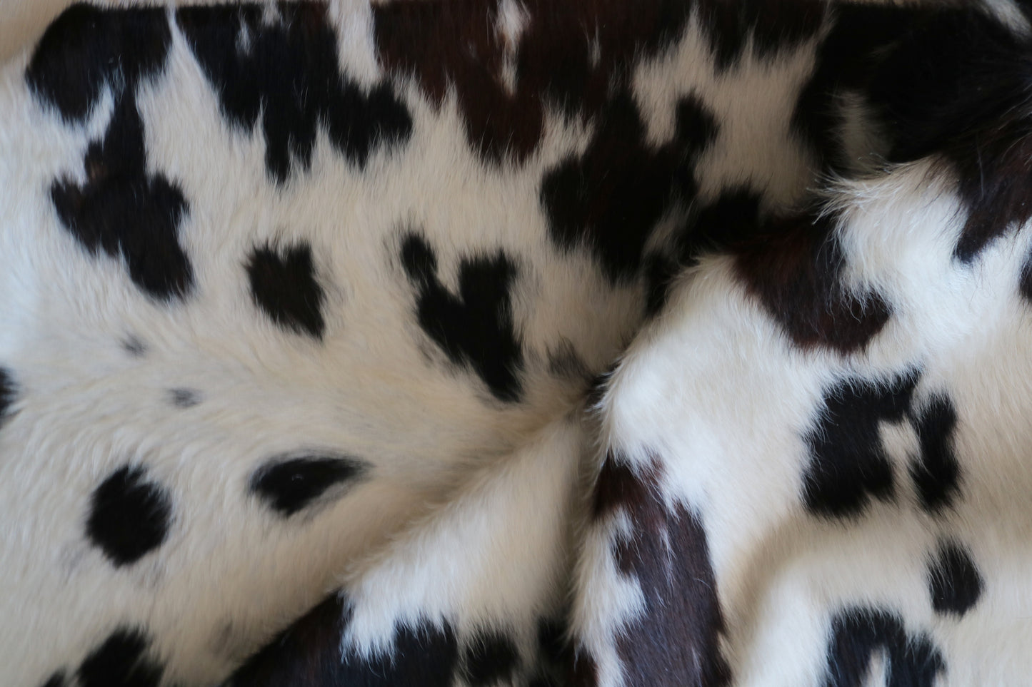 100170-  Tricolor Cowhide Rug - Quebecuir Premium Collection