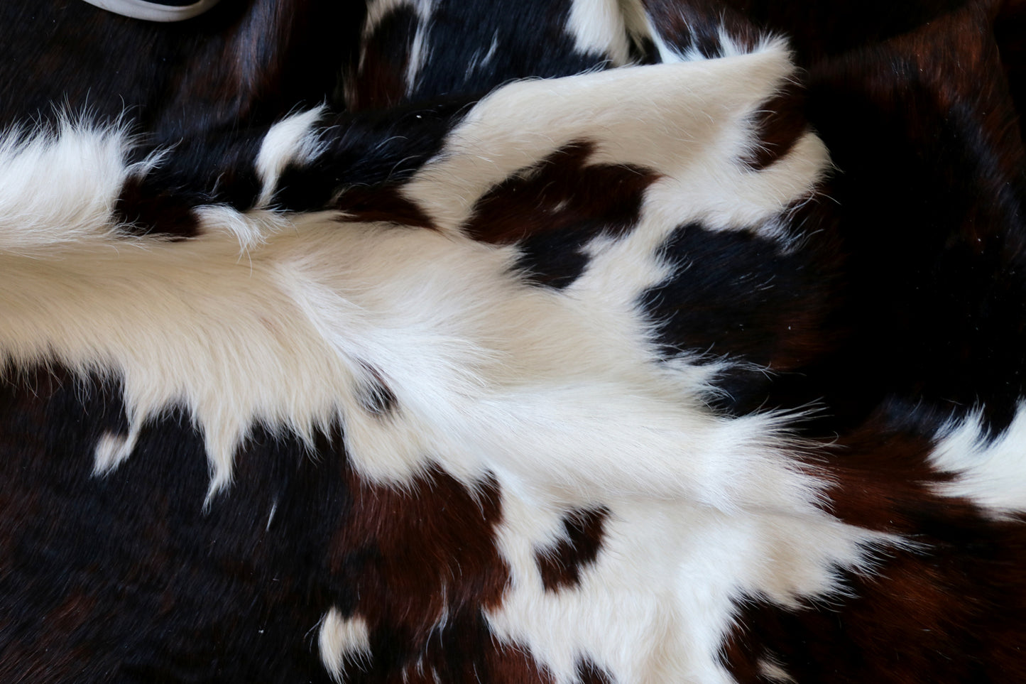 100171   Tricolor Cowhide Rug - Quebecuir Premium Collection