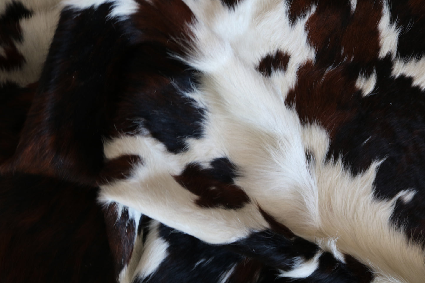 100171   Tricolor Cowhide Rug - Quebecuir Premium Collection