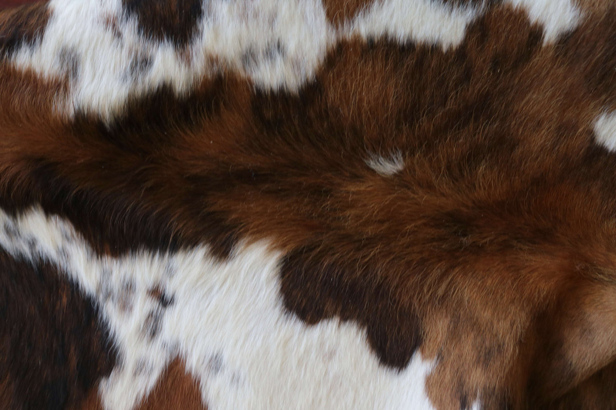 200698-   SIZE XXL TRICOLOR   Cowhide Rug - Quebecuir Premium Collection