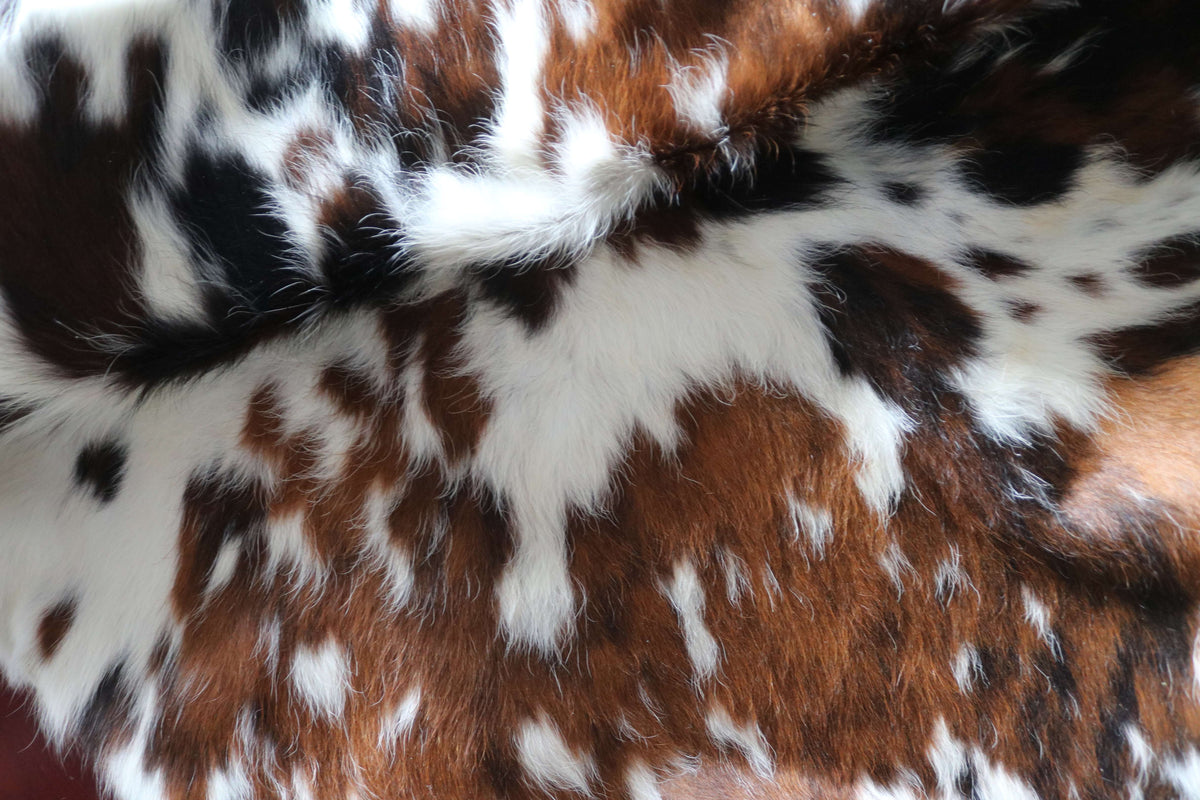100388- tapis peau de vache  TRICOLOR      Cowhide Rug - Quebecuir Premium Collection