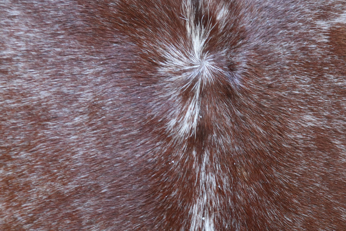 100174  Tricolor Cowhide Rug - Quebecuir Premium Collection
