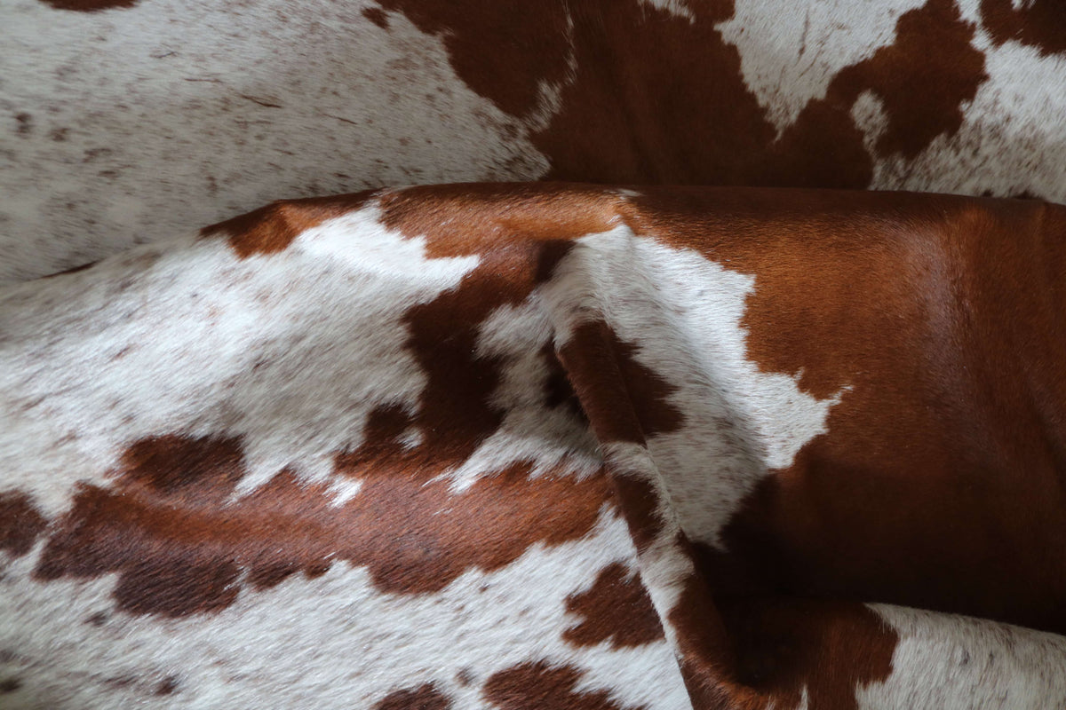 100364- SUPER BIG  SIZE XXXL TRICOLOR   Cowhide Rug - Quebecuir Premium Collection