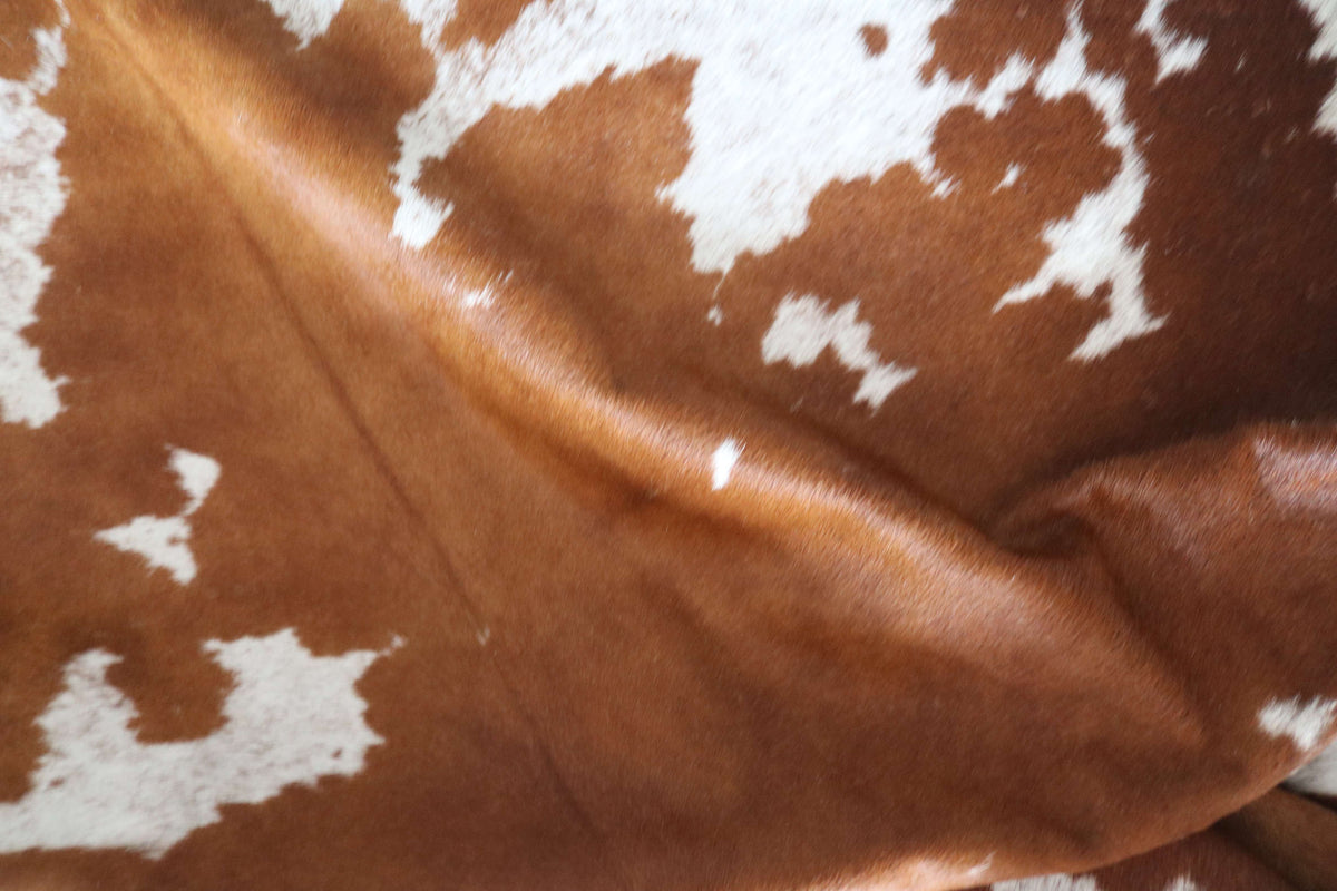 100364- SUPER BIG  SIZE XXXL TRICOLOR   Cowhide Rug - Quebecuir Premium Collection