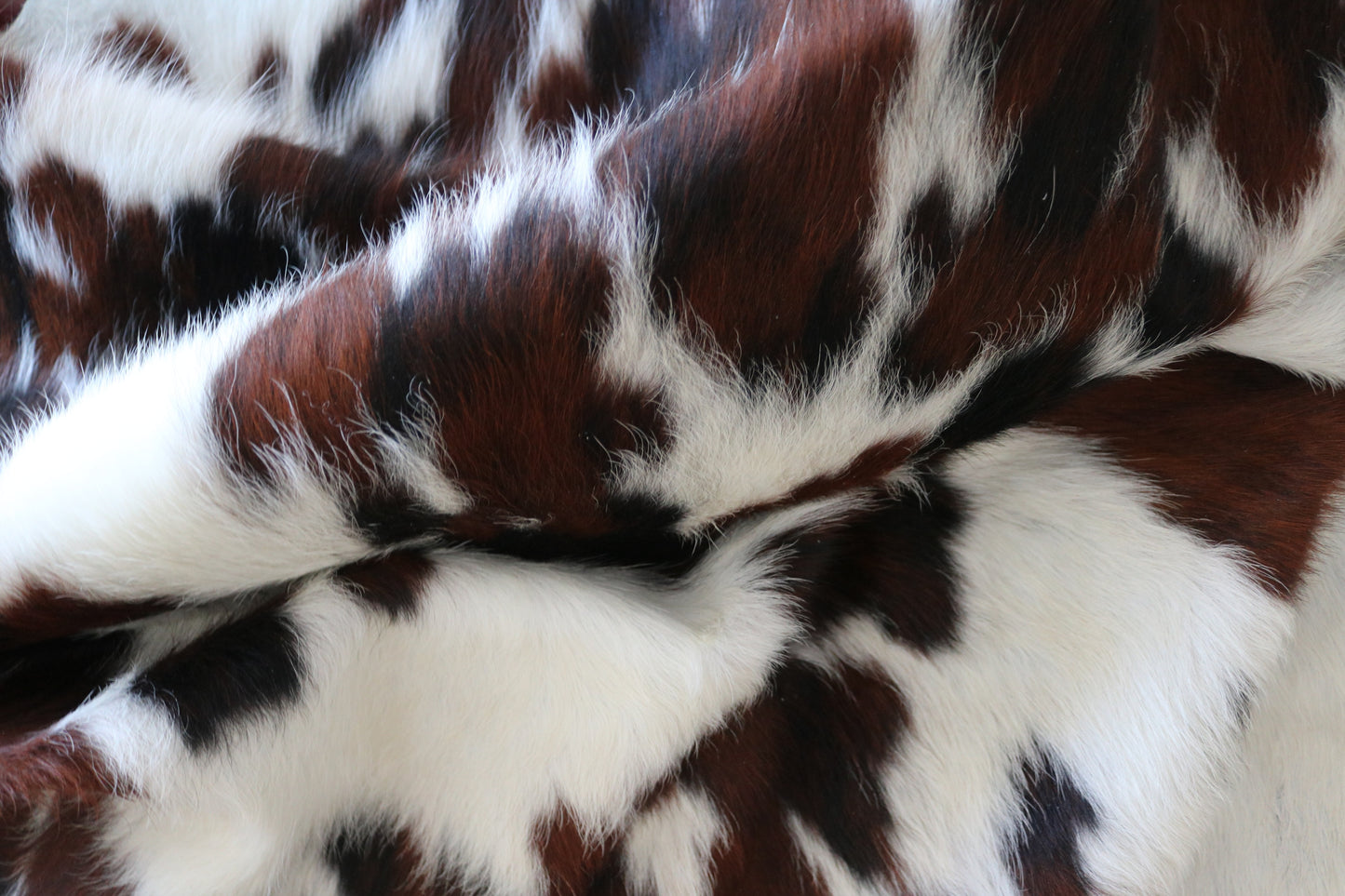 100175  Tricolor Cowhide Rug - Quebecuir Premium Collection