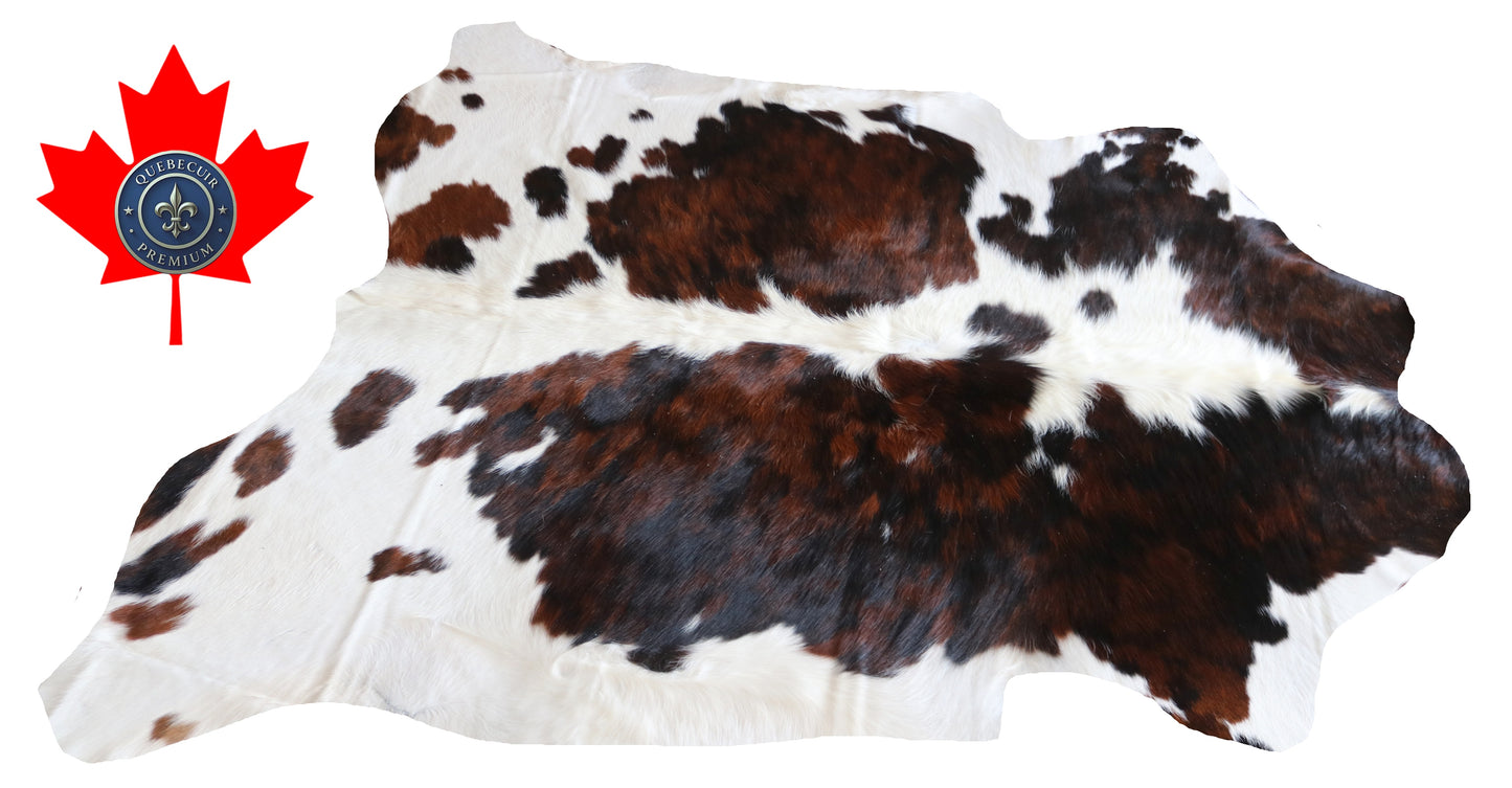 100176  Tricolor Cowhide Rug - Quebecuir Premium Collection